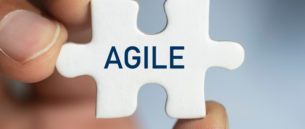 Agile for Business