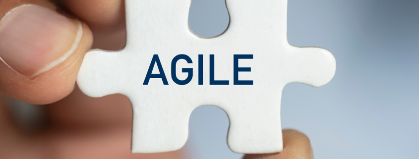 Agile for Business